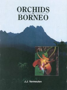 OrchidsBorneo2